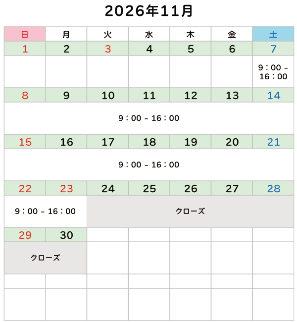 2026年11月
