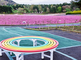 彩虹色的圓板凳