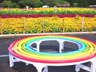 彩虹色的圓板凳