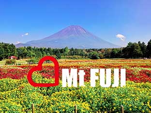 富士山裝飾