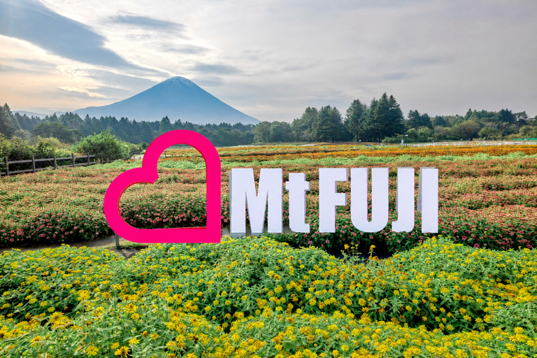 Mt.FUJI裝飾物