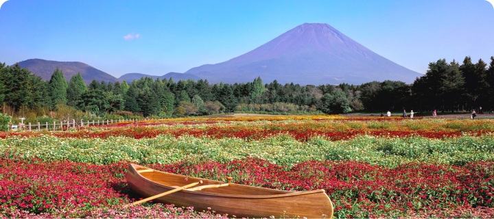 Rainbow flower Festival