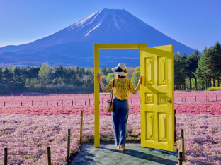 The Yellow Door of Happiness