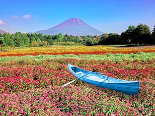 Small boat traveling on a colorful sea