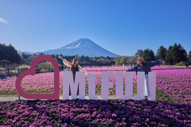 Mt.FUJI Object