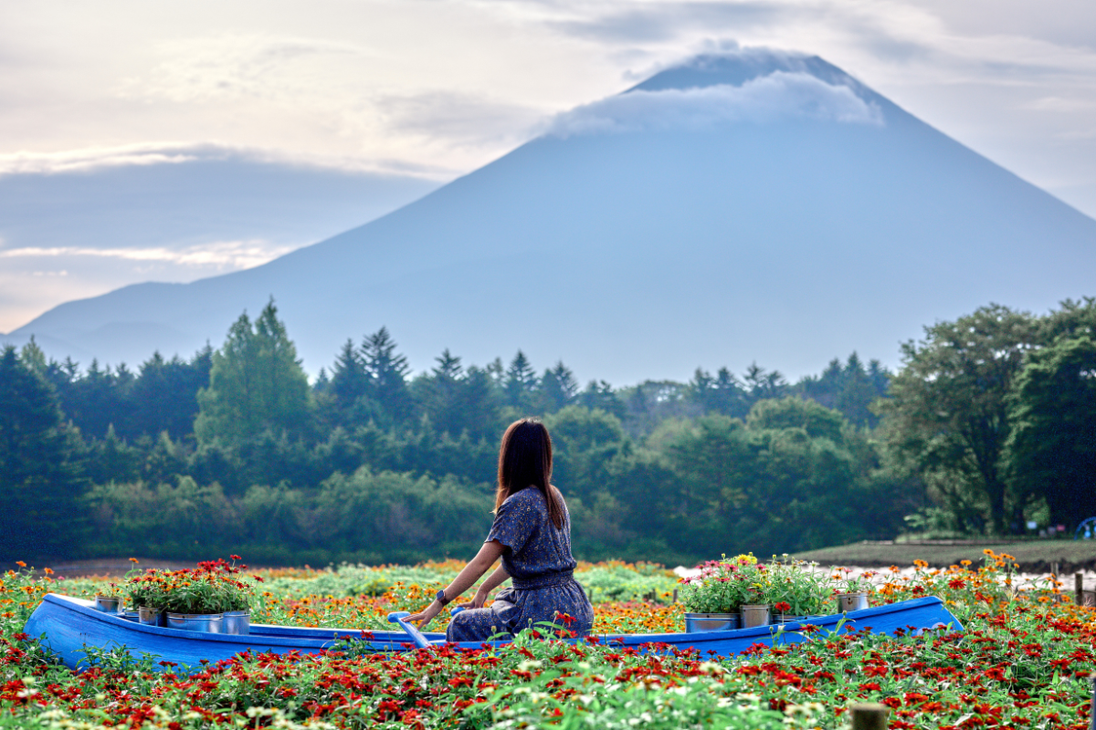 富士本栖湖リゾート|約8万株の彩り豊かな花々が楽しめるフラワーイベント「虹の花まつり」