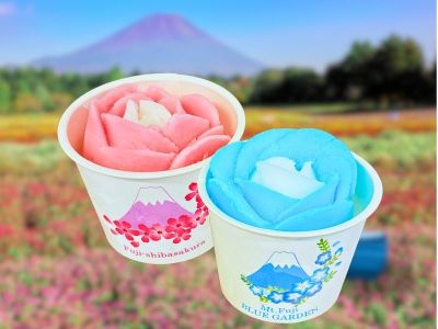 富士本栖湖リゾート「虹の花まつり」|前売りオンラインチケット