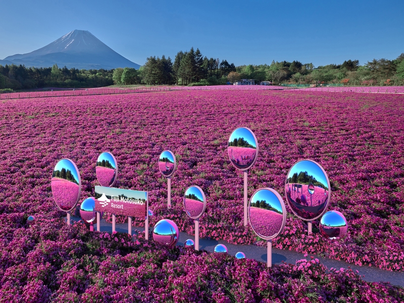 <New>きらめく花雫ミラー